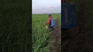 Download lagu tanaman yang haarus di rawat #fbmemes #farming #jalanyangjauhjanganlupapulang #automobile mp3