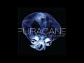 Puracane - I've Been Here the Longest [2009]