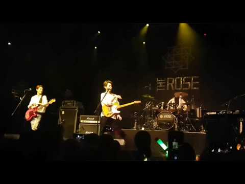 181118 The Rose - Take me down (2nd coloring Paint it Rose Europe Tour Berlin) fancam