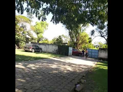 Psynetik Live Guatemaya 2019