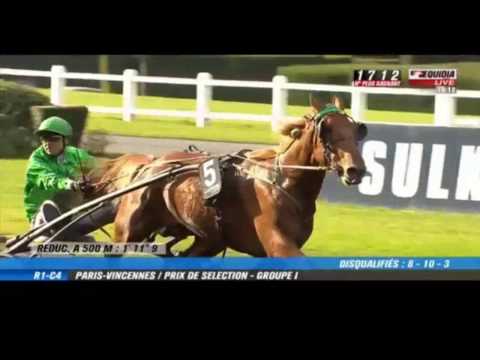 01/03/2014 Prix de Sélection Gr I ALADIN D'ECAJEUL
