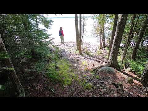 Tent platform and path to river