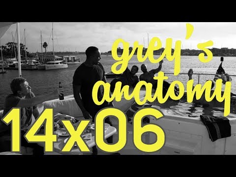 Grey's Anatomy 14x06 - quotes