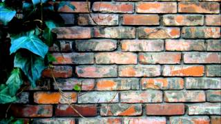 OUR MISS BROOKS／HAROLD VICK