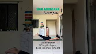 Download lagu Shalabhasana - locust pose #yoga #yogaforbeginners mp3