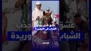 شباب دكالة يعشقون التبوريدة.. موسم مولاي عبد الله يساهم في نقل تراث الأجداد إلى جيل جديد thumbnail