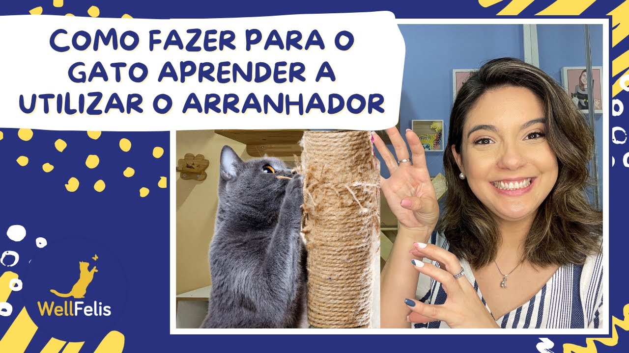 Como fazer para o gato aprender a utilizar o arranhador
