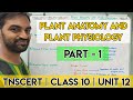 TNSCERT Class 10 Unit 12 Plant Anatomy And Plant Physiology Part 1
