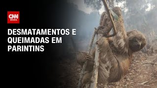 Miniatura do vídeo