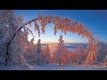 ❄️ "Winter's Light"  . ⛄️ .  (Relaxing Music by Tim Janis)  ❄️