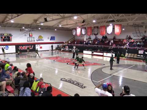 NGU Men's Basketball 2016-17 - North Greenville vs. Lees-McRae