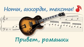 Привет, ромашки