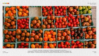 [playlist] 여행가서 시장 구경하기 (A Morning at the Local Market)