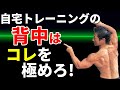 たった2つの注意点で自宅の筋トレでも背中は格段にかっこよくなる！ダンベルだけでも広背筋を作る！