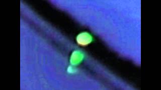 UFO Green Orb Close uP