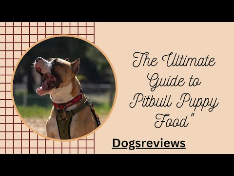 The Ultimate Guide to Pitbull Puppy Food