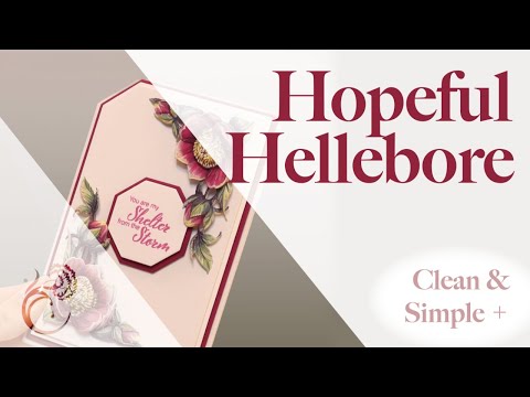 Clean & Simple+, 'Hopeful Hellebore' - Launch Show