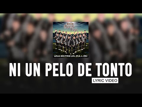 Ni Un Pelo De Tonto - Banda Rancho Viejo