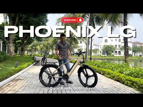 Xe đạp điện trợ lực Phoenix LG