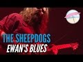 The Sheepdogs - Ewan's Blues (Live at the Edge ...