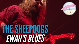 The Sheepdogs - Ewan&#39;s Blues (Live at the Edge)
