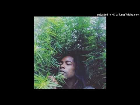 LASTUCE GENERALE BADMILIATNT