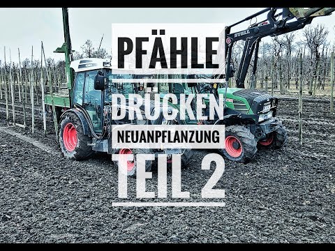 Obsthof Raddatz - Pfähle drücken für die Neuanpflanzung Teil 2!