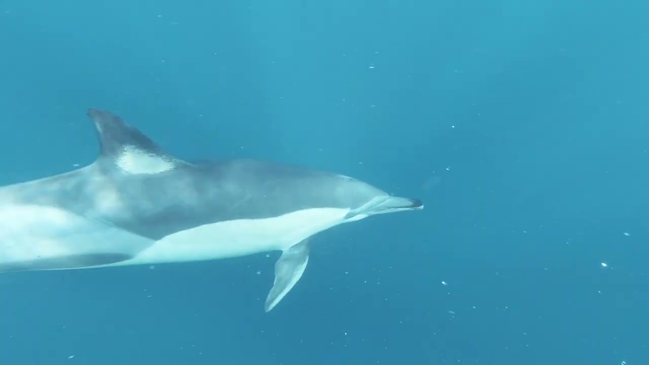 Audio English bible:Exodus chapter 1