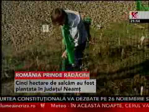 Romania prinde radacini, Realitatea TV, 29 octombrie 2008