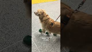 #トロント生活 #dayinmylife #torontolife #canada #vlog #toronto #adayinmylife