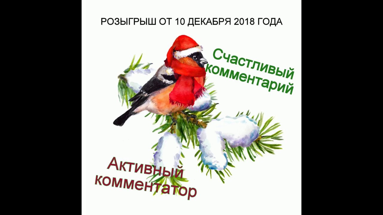 Спешим поздравить везунчиков и активистов недели!