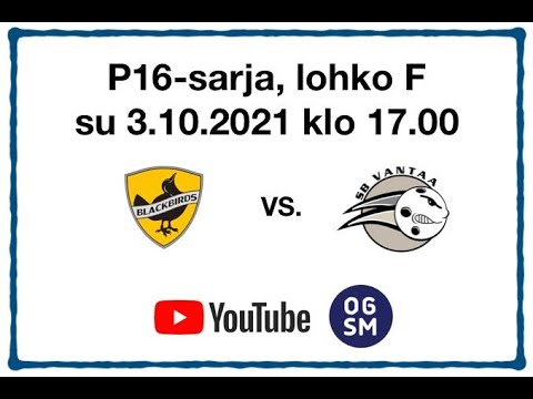 Blackbirds - SB Vantaa