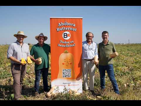 Sakata aproxima produtores e consumidores para valorizar a abóbora Butternut