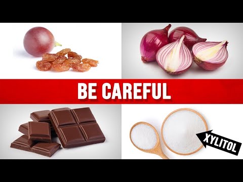 Dr Berg Explains What Makes you Feel Sick Despite Eating Healthy Food