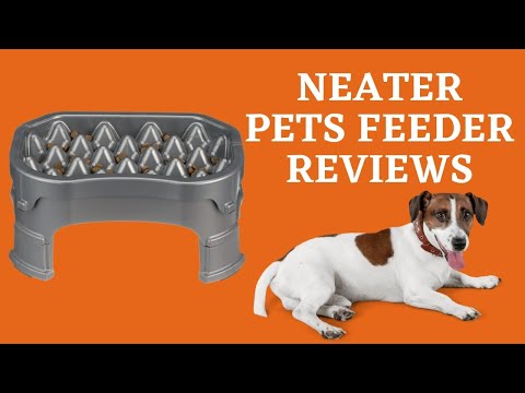 Neater Pets Feeder Reviews 2021 | Buying Guides