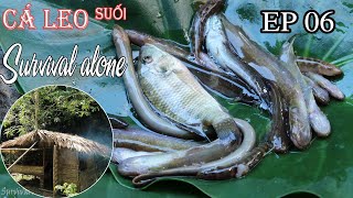 Thử thách 15 ngày sinh tồn một mình trong rừng mưa | Rừng nhiệt đới | EP 06- Cá suối lam lá chua