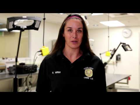 See Something, Say Something Part II