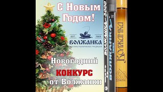 Волжанка лесная фото