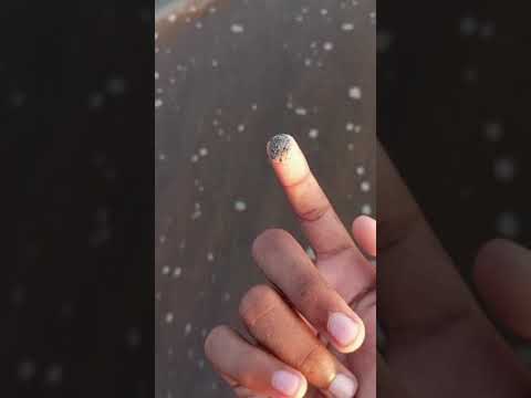 beach ki vellamu  happy mood #love