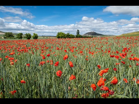 Camino Frances: Etapa 14, Hornillos del Camino to Castrojeriz