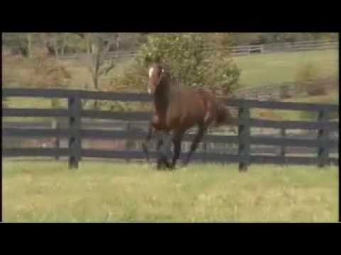 Sightseeing (Pulpit - Resort, By Pleasant Colony)