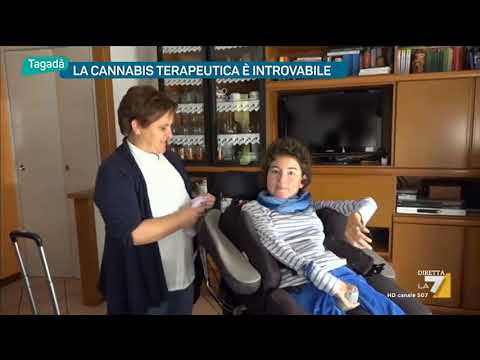 La cannabis terapeutica è introvabile