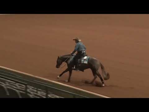 220521 Open Derby Sam Schaffhauser on Easter Gunny