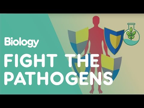 Human Defence Systems Against Pathogens | Health | Biology | FuseSchool