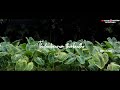 Mundhinam Parthene Song Whatsapp Status Suriya Cover Song Pure Love Love At First Sight SK