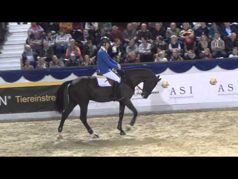 Dominator 2000 Z - K&K cup Münster 2016