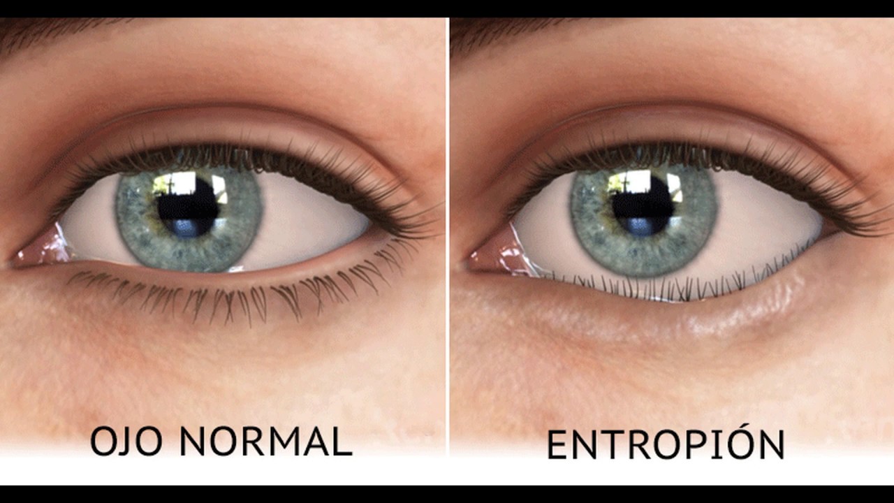 Leslie Rodríguez Montero-7