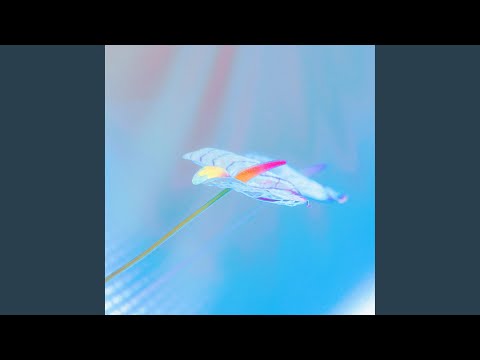 Stay the Night (feat. Regards Coupables)