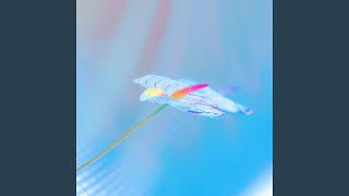 Stay the Night (feat. Regards Coupables)