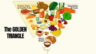 Food Pyramid Lies Exposed And Corrected in 2026 Release